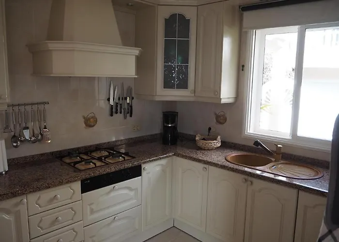 Hibiscus * Santa Úrsula